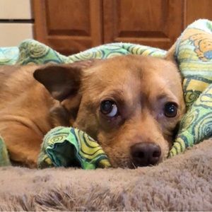 Meet your Posher, Lina